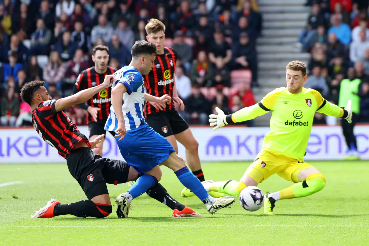 Nhận định Brighton vs Bournemouth