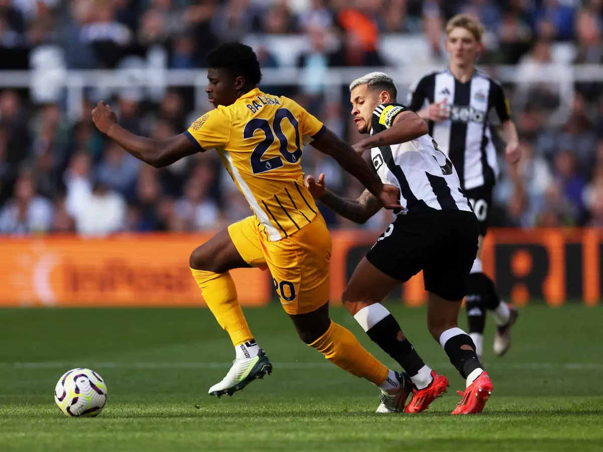 Nhận định Newcastle vs Brighton