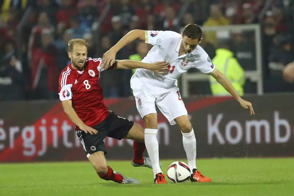 Nhận định Albania vs Serbia