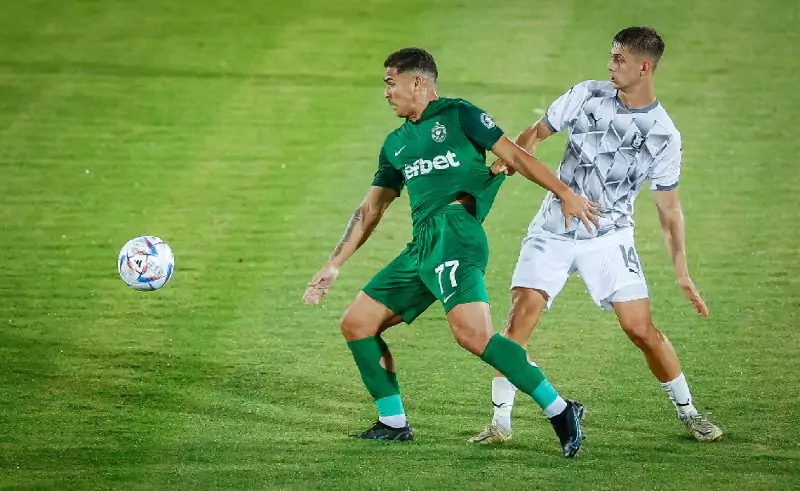 Thành tích thi đấu gần đây của Ludogorets vs Shkendija
