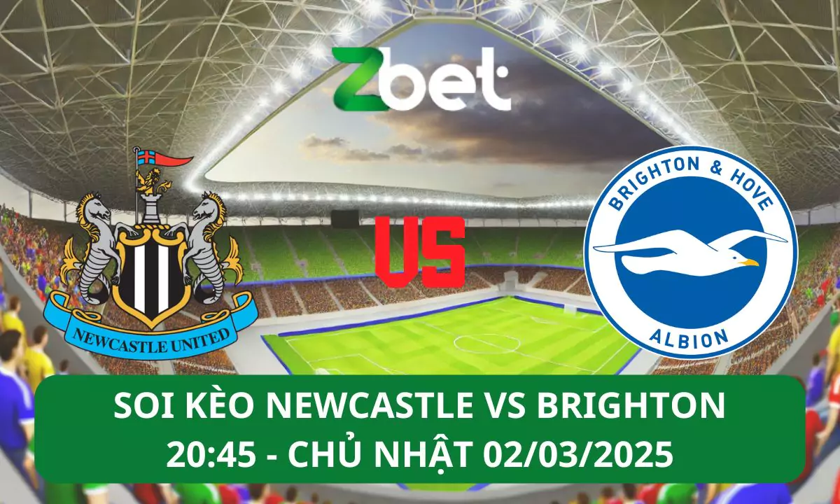 Nhận định soi kèo Newcastle vs Brighton, 20h45 02/03/2025 – FA Cup