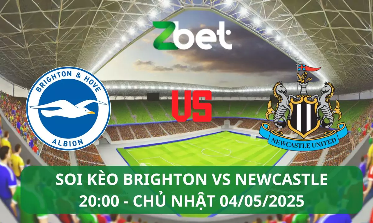 Nhận định soi kèo Brighton vs Newcastle, 20h00 04/05/2025 – Ngoại hạng Anh