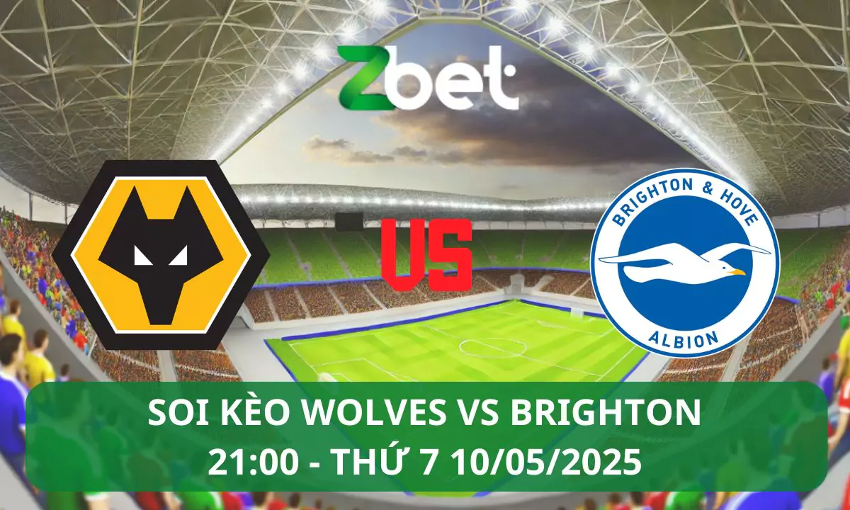 Nhận định soi kèo Wolves vs Brighton, 21h00 10/05/2025 – Ngoại hạng Anh